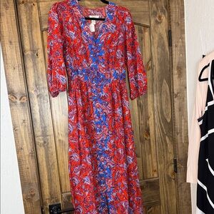 Japna Vibrant Red and Blue Paisley Maxi Dress